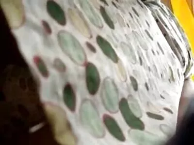 Videoclipul rusesc elegant nu poartă chiloți (Isabella Clark) poze fete nud