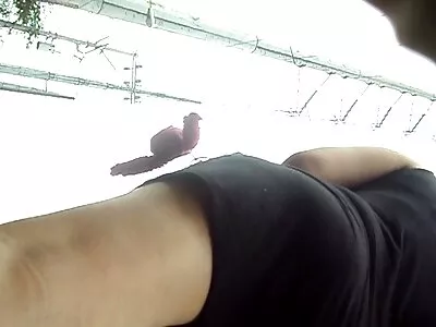 Videoclipul poze femei goale gratis Banging Lee (Sharon Lee)